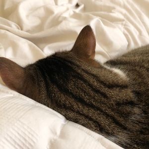 Meet your Posher, Denise